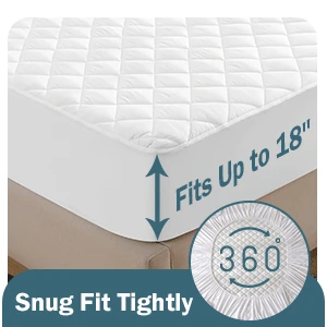 mattress protector queen.png