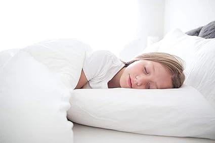 90% White Duck Down Pillow
